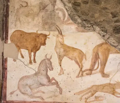 slow tourism pompeii tour from rome